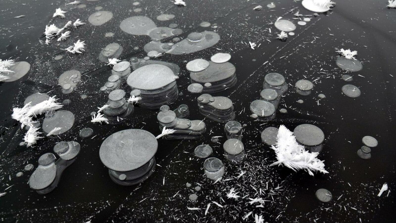 Рустем Якупов