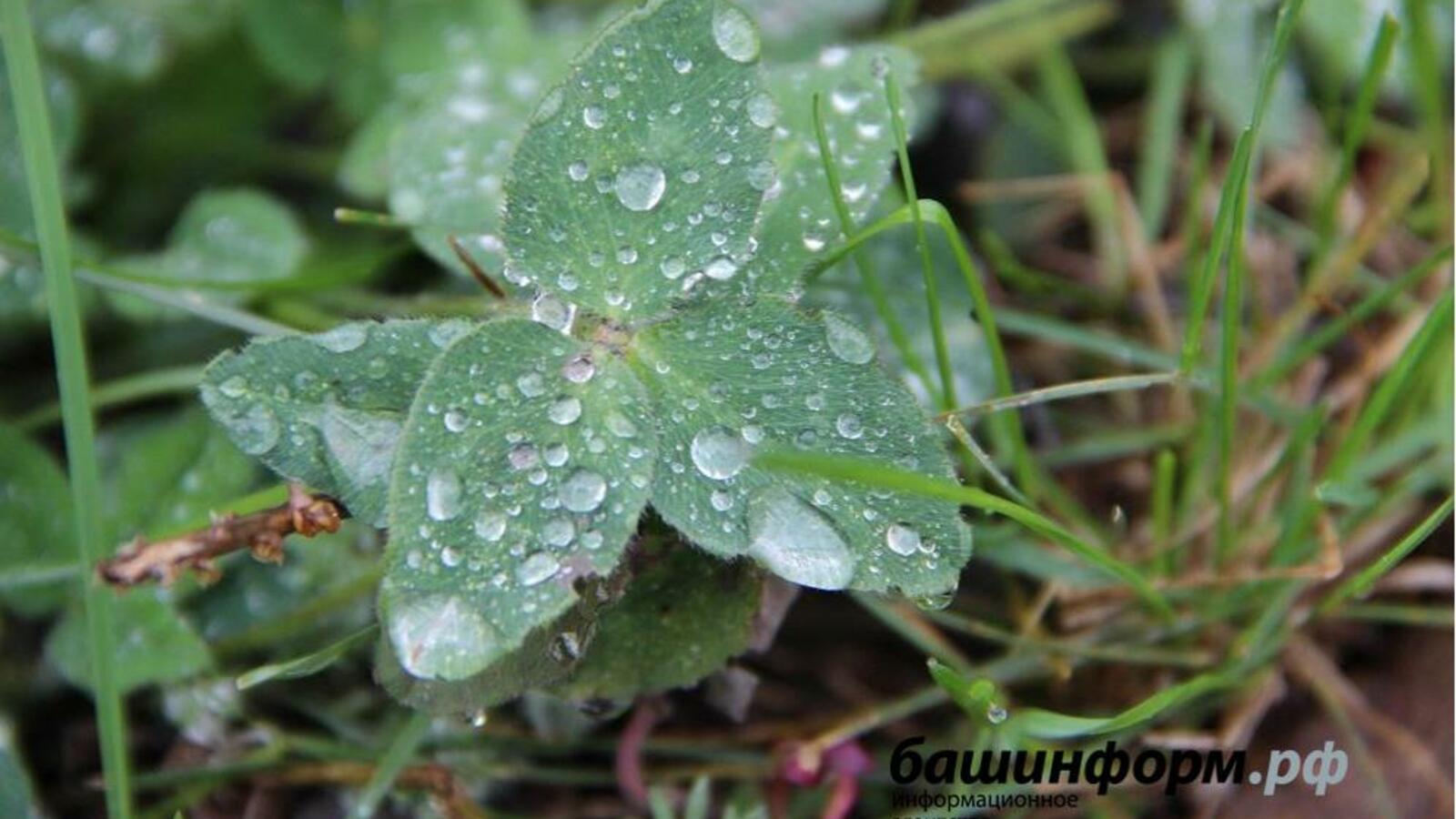 ИА «Башинформ»