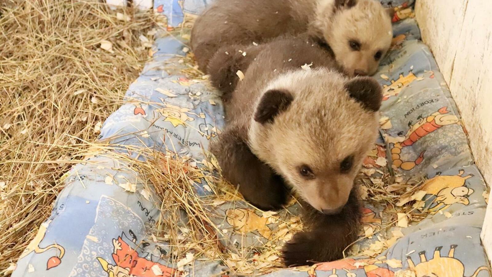 Администрация Уфы