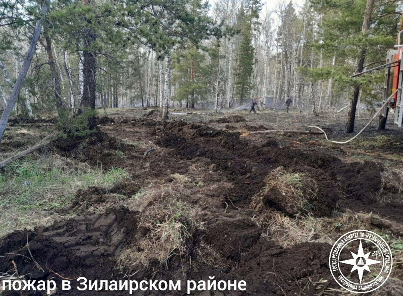 госкомитет РБ по ЧС