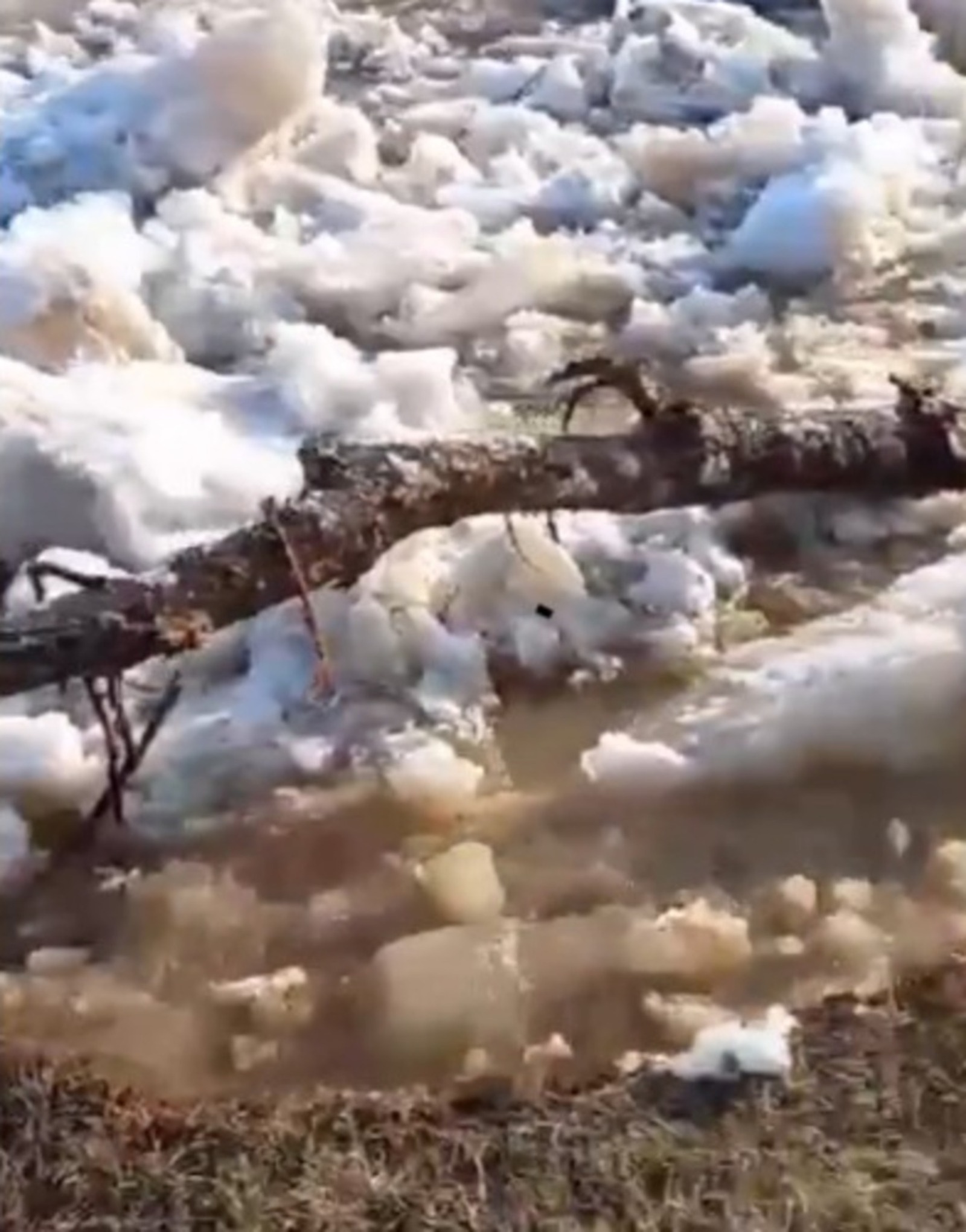 Гюзель Насырова, телеграм
