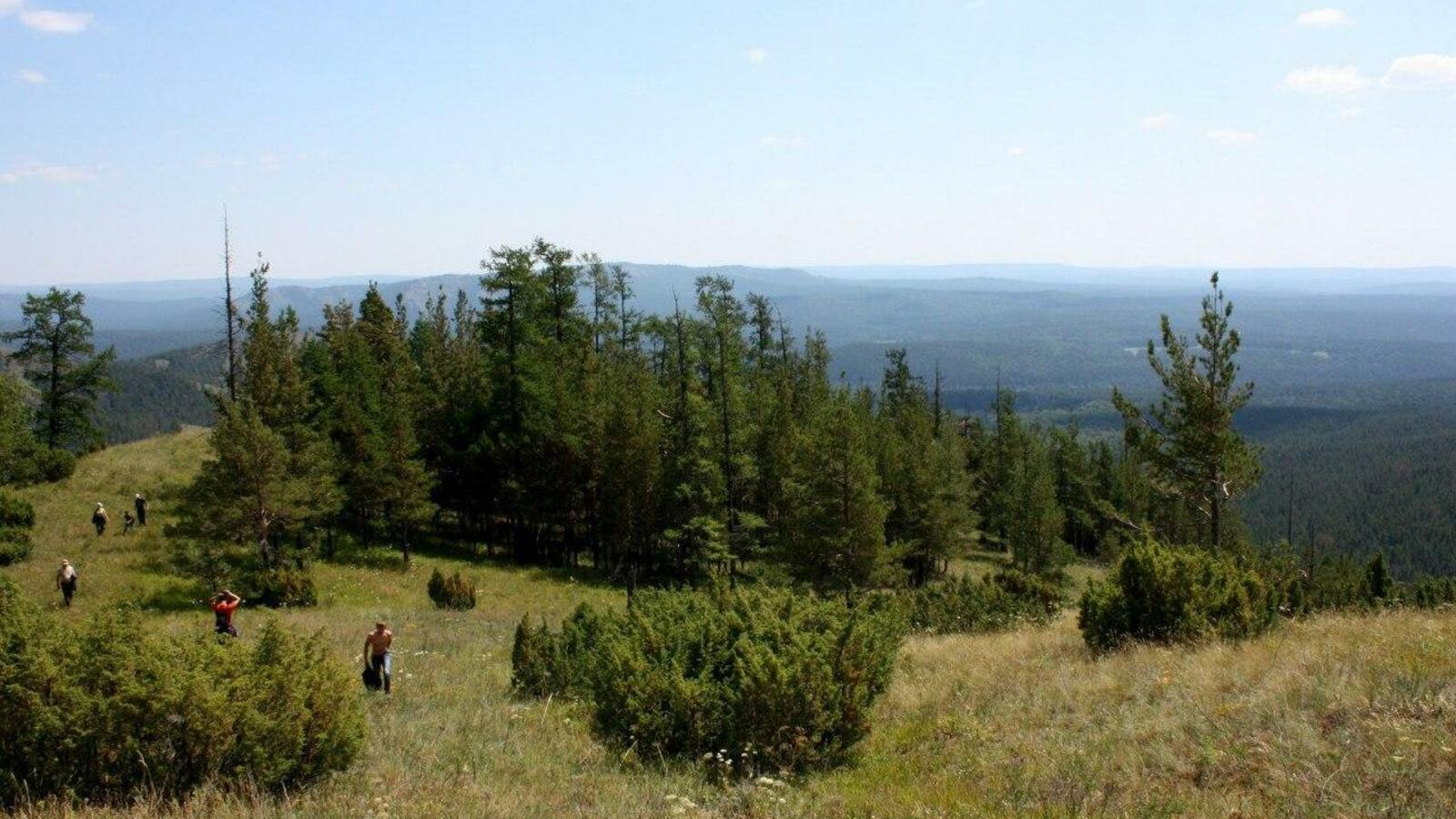 ИА «Башинформ»