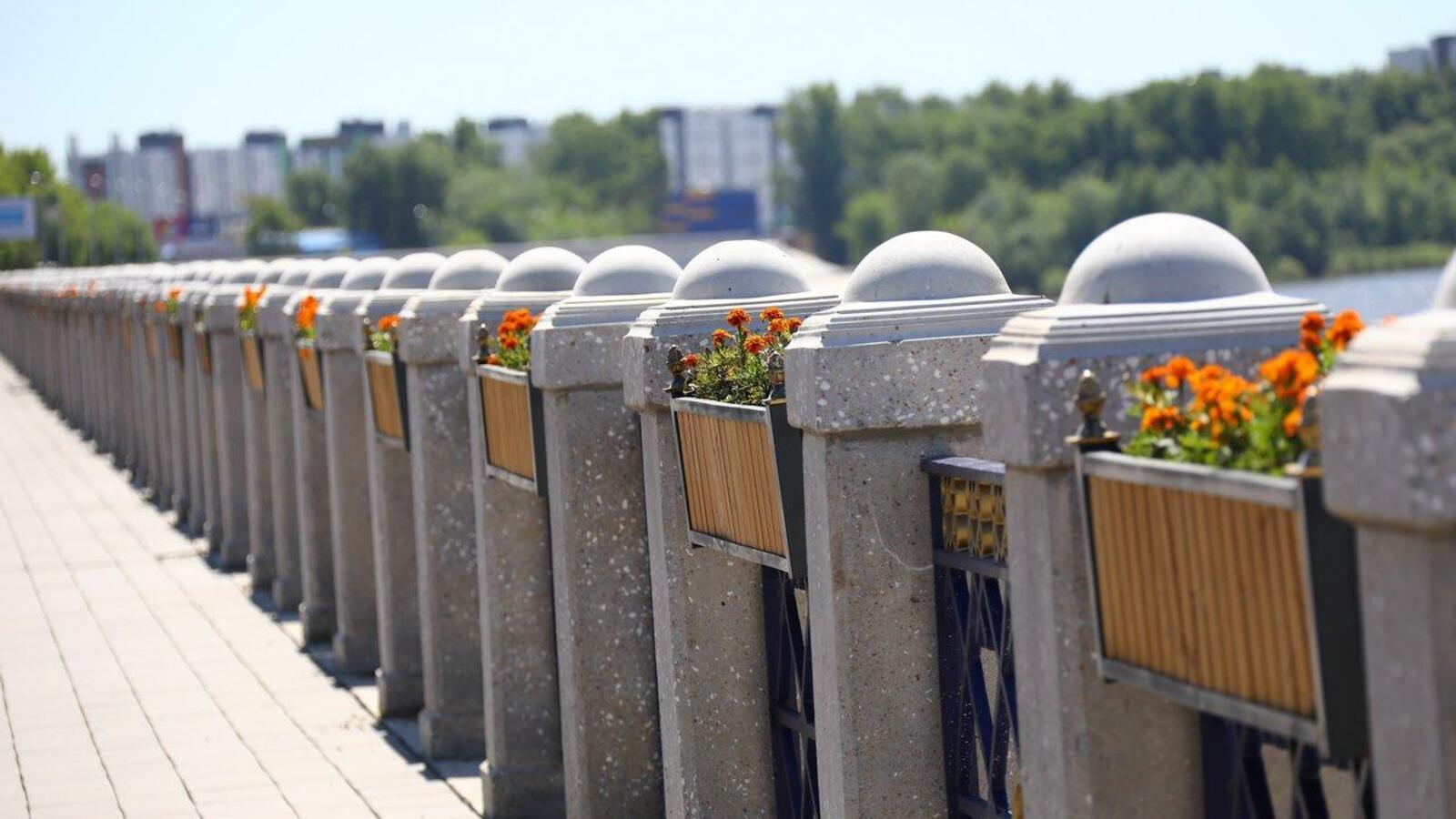 Валерий Шахов