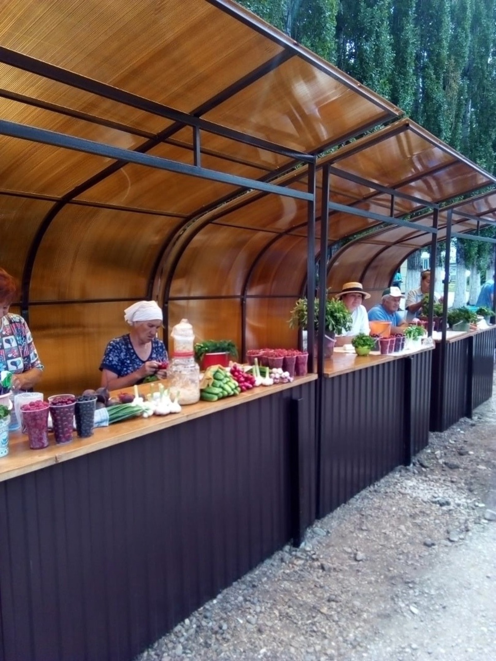 соцсети Игоря Миронова