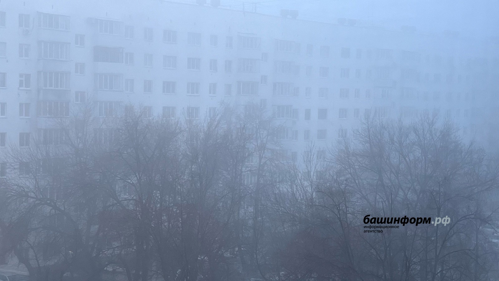 Ксения Калинина ИА «Башинформ»