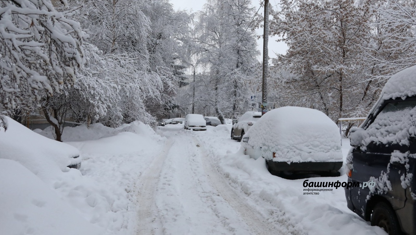 Валерий  Шахов ИА «Башинформ»