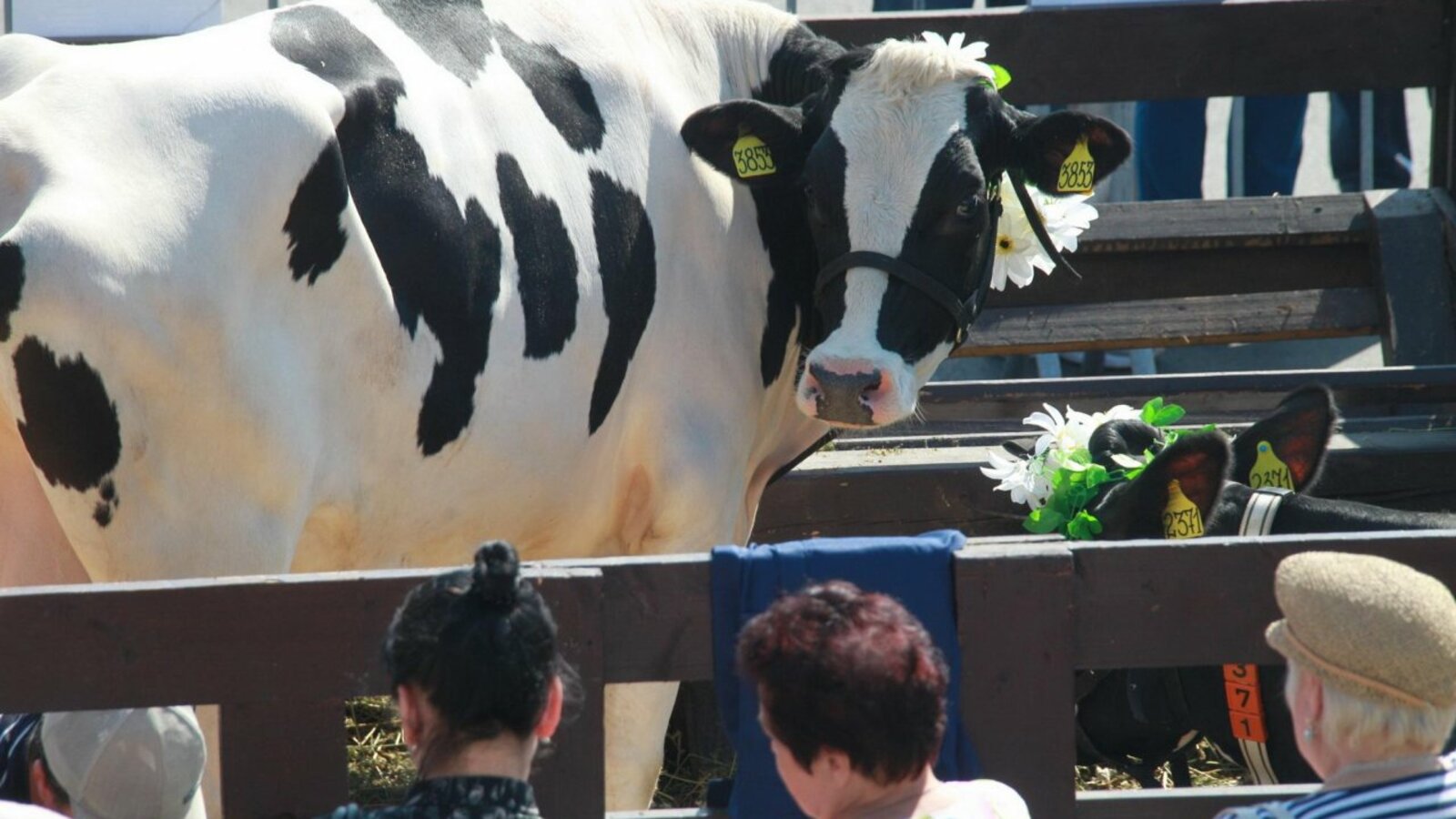 Олег Яровиков