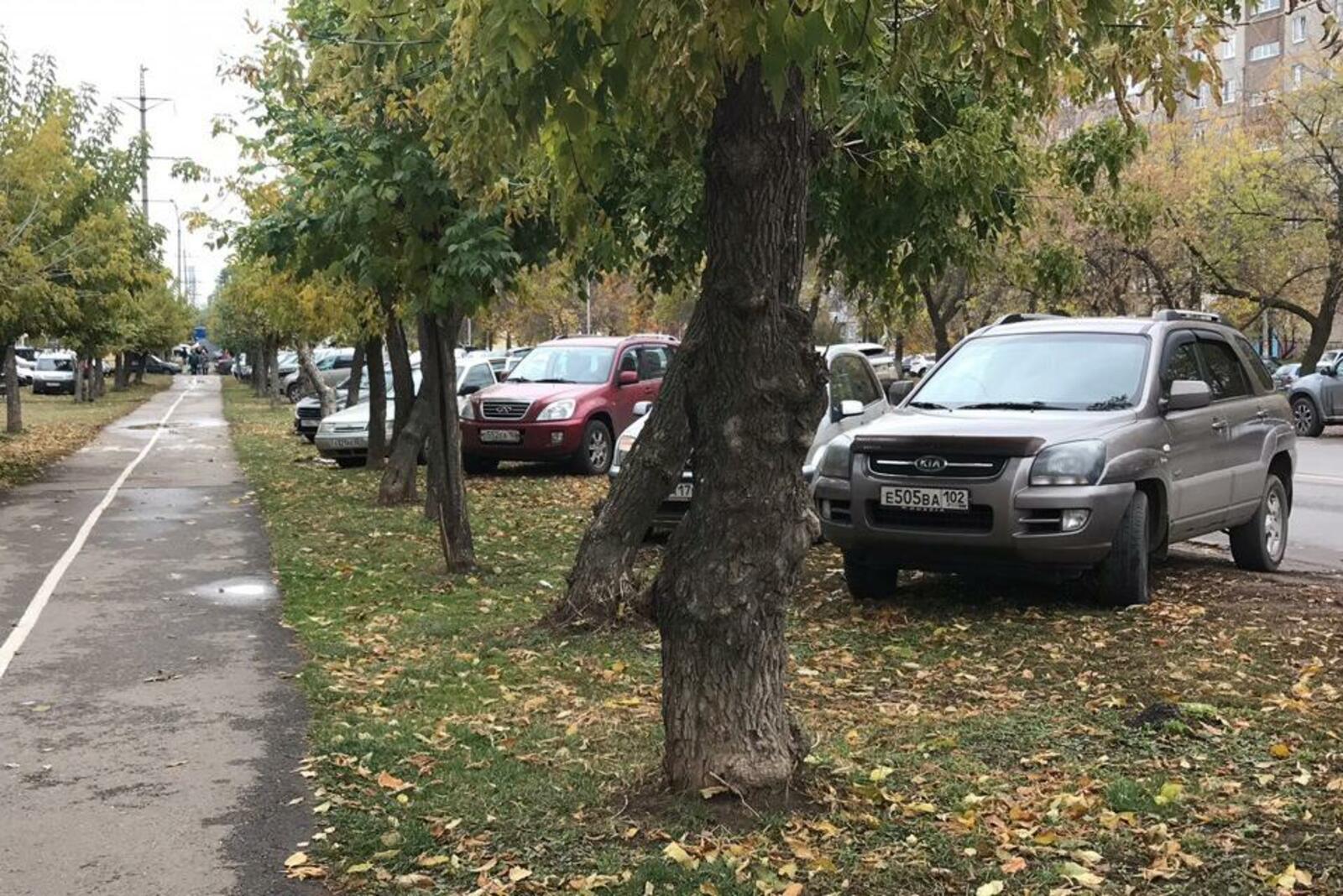 автор