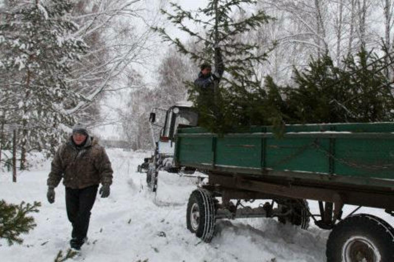 ria.ru/nsk/