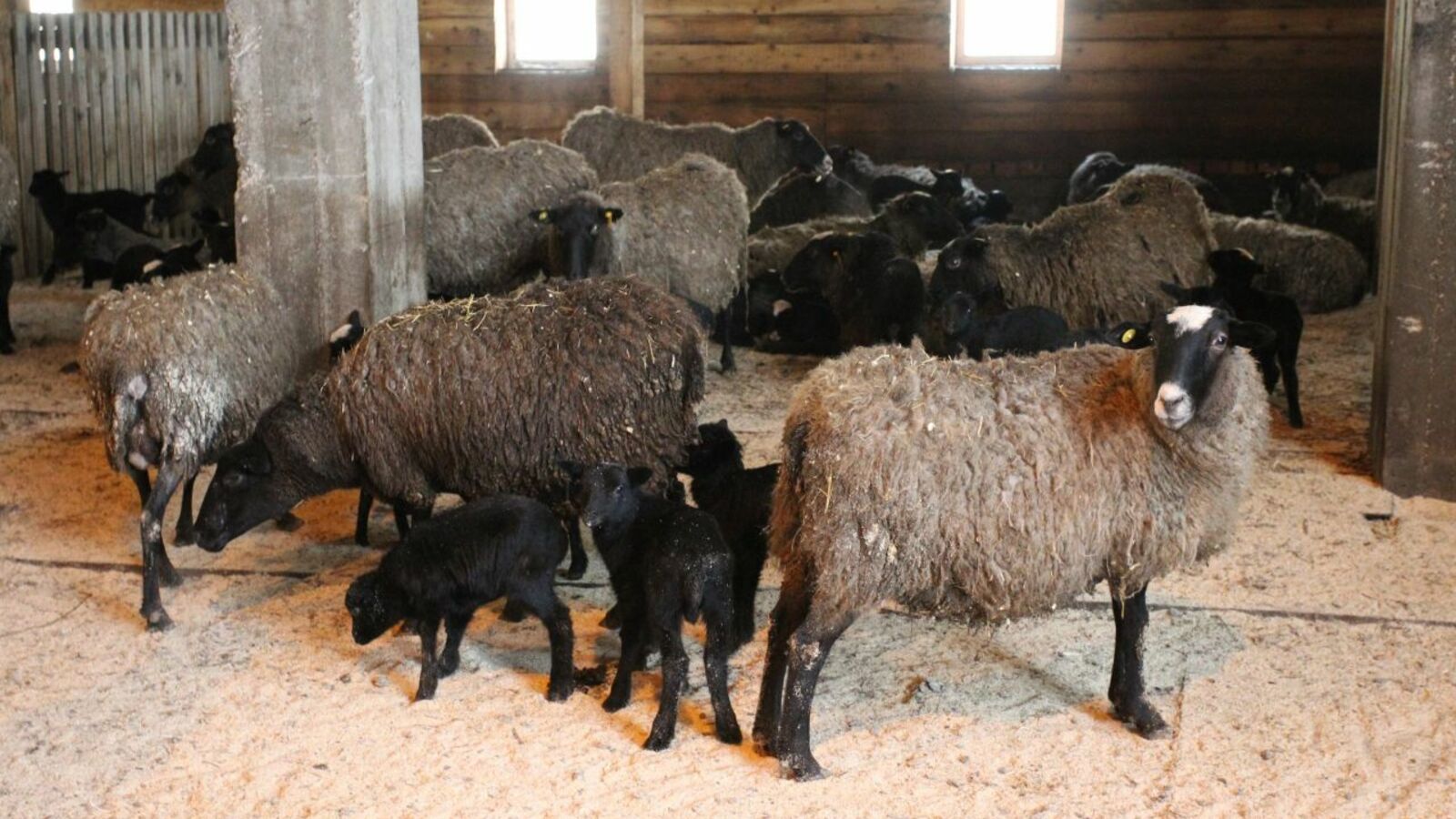 Олег Яровиков