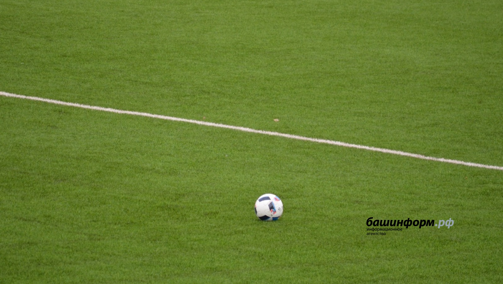 Ксения Калинина