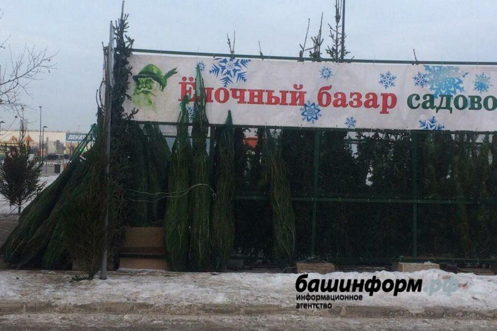 «Башинформ» мәғлүмәт агентлығы