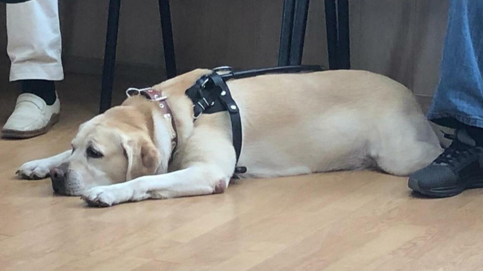 ИА «Башинформ»