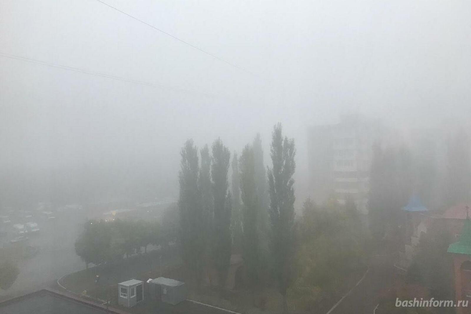 Ксения Калинина