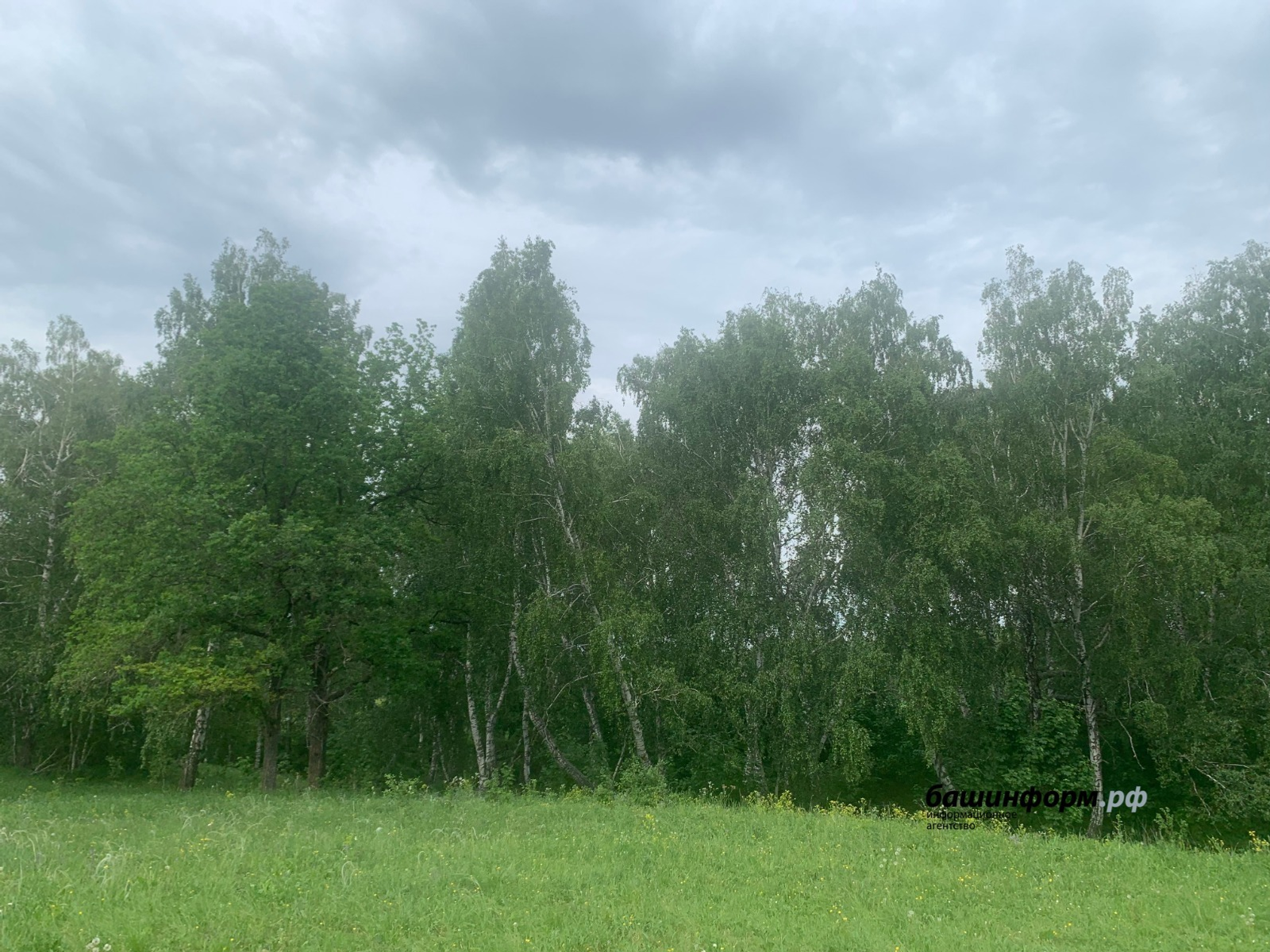 Галина Бахшиева