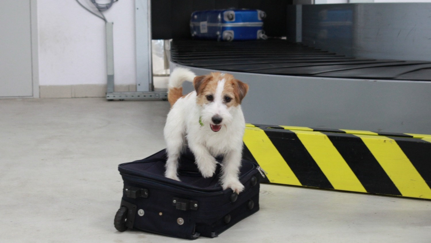 Башкортостанская таможня