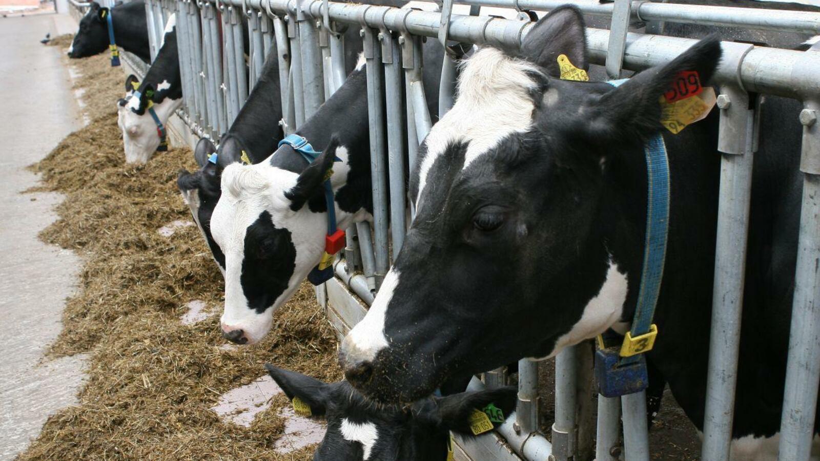 ИА «Башинформ»