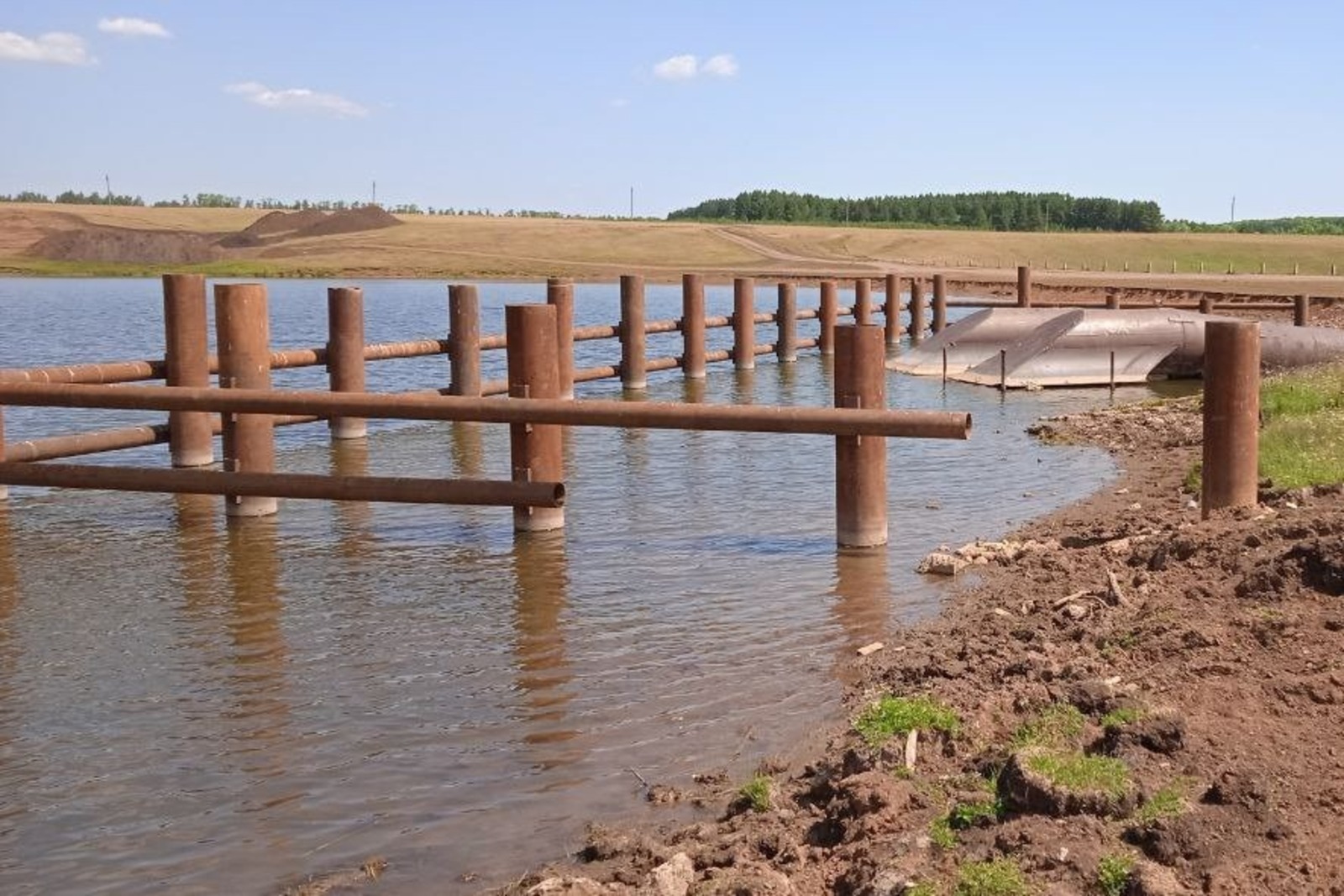 минприроды России