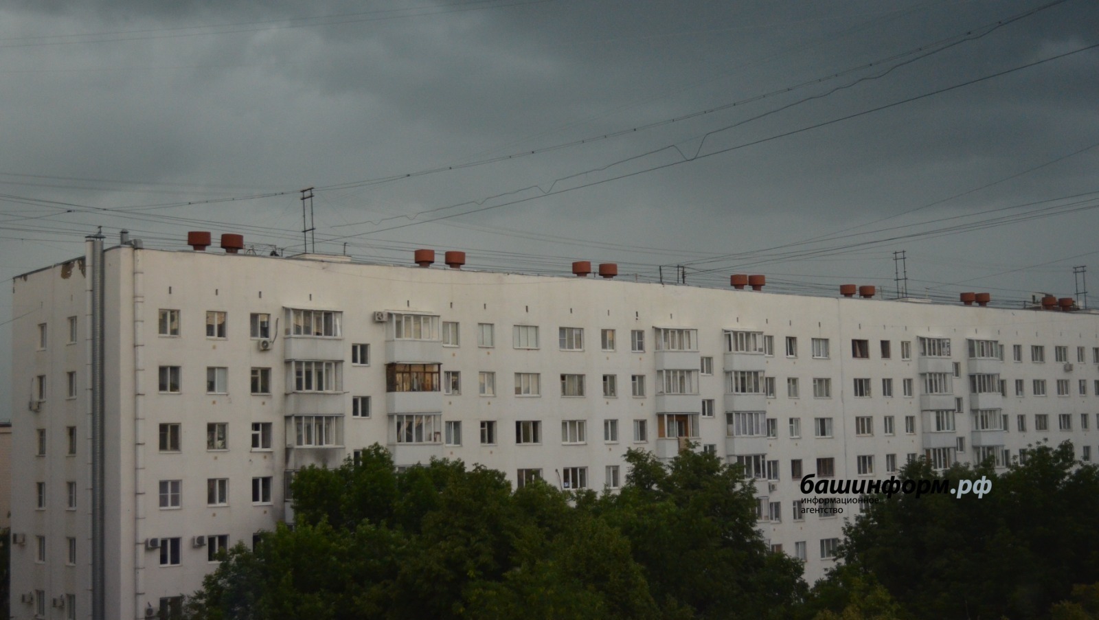 Ксения Калинина