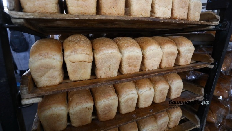 Хлеб в Башкирии не подорожает – Фазрахманов