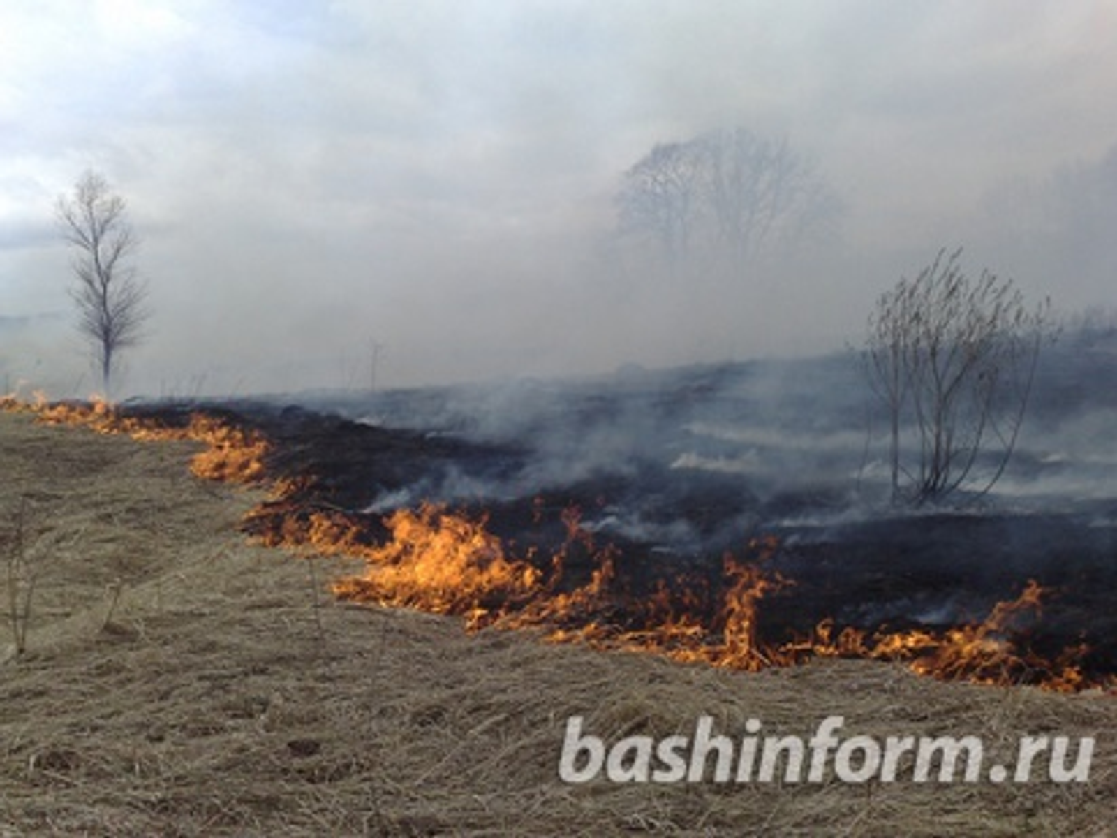 Андрей Старостин