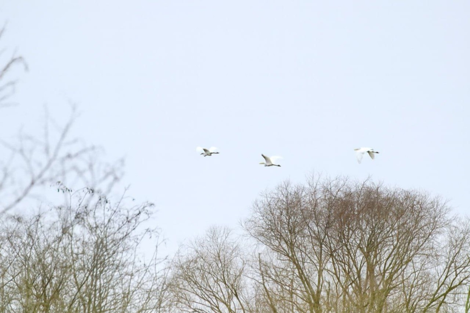 минприроды РБ телеграм