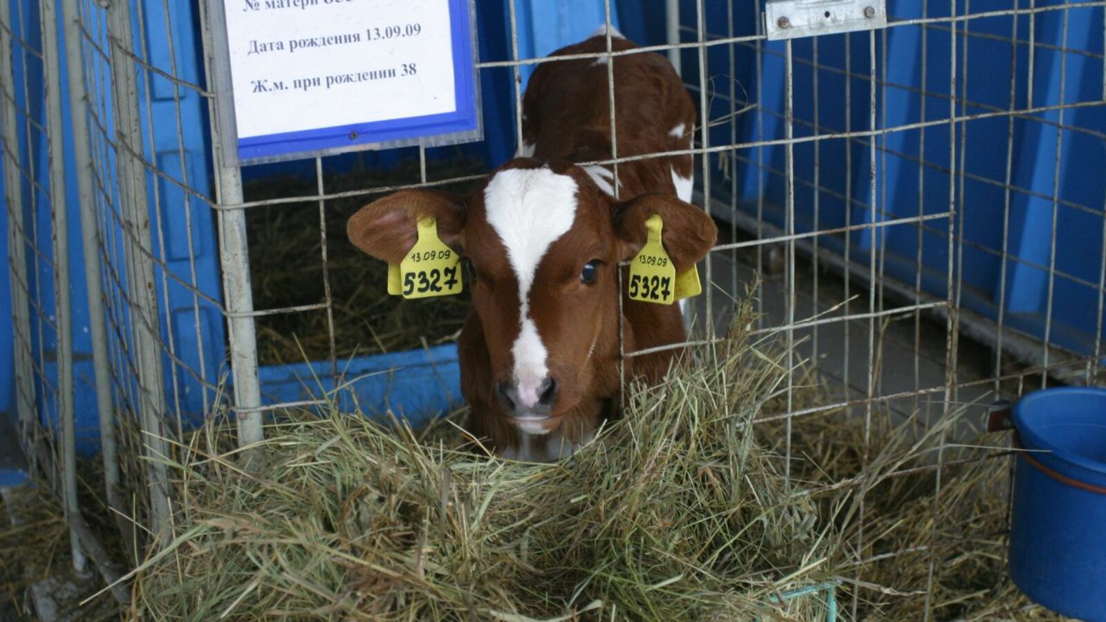 Олег Яровиков