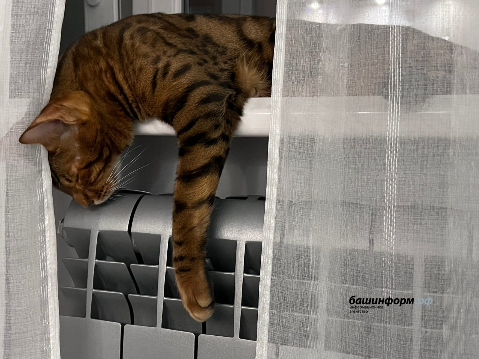 Ксения Калинина