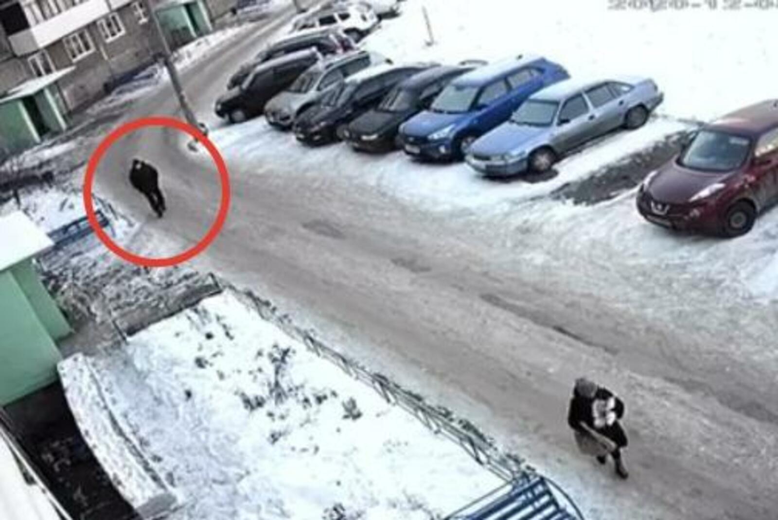 стоп-кадр видео