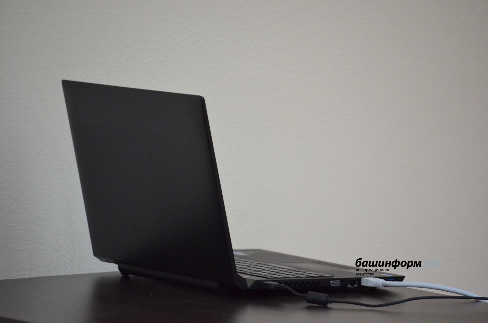 Ксения Калинина ИА Башинформ