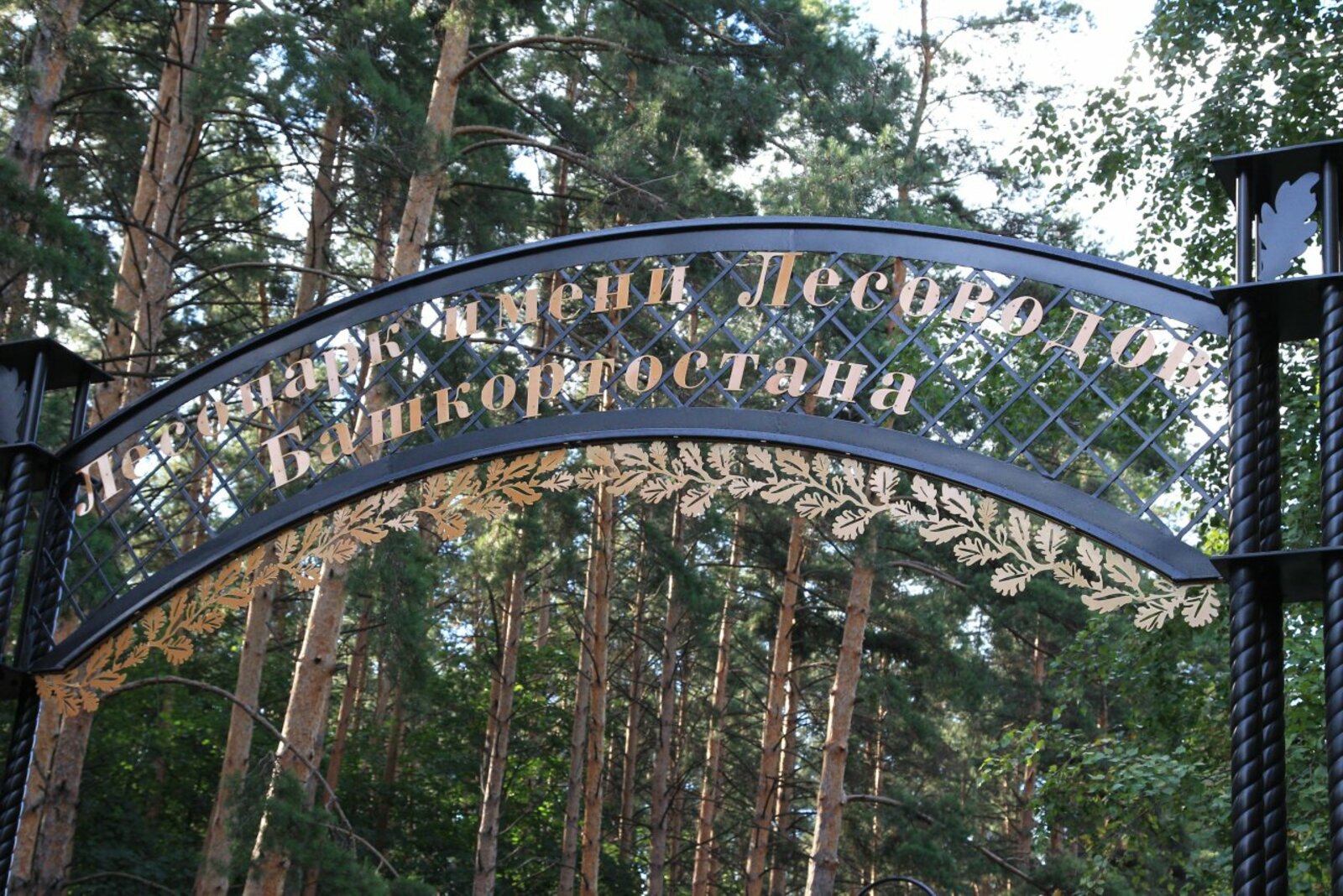 Олег Яровиков