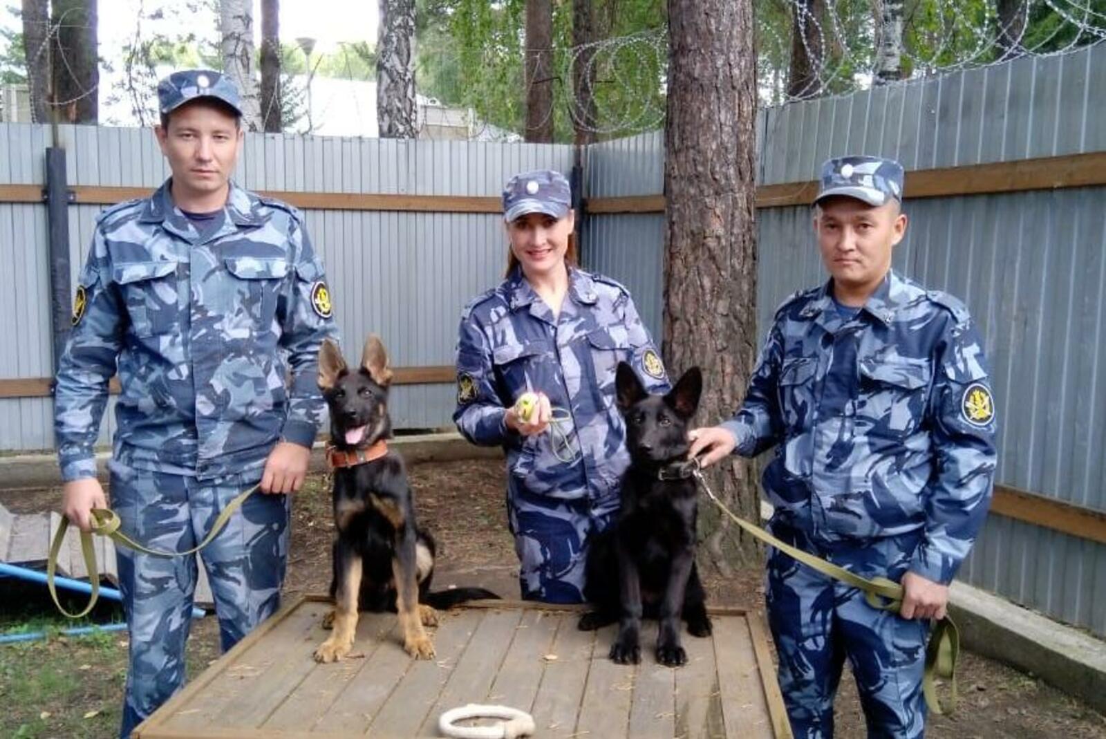 ГУФСИН по Свердловской области