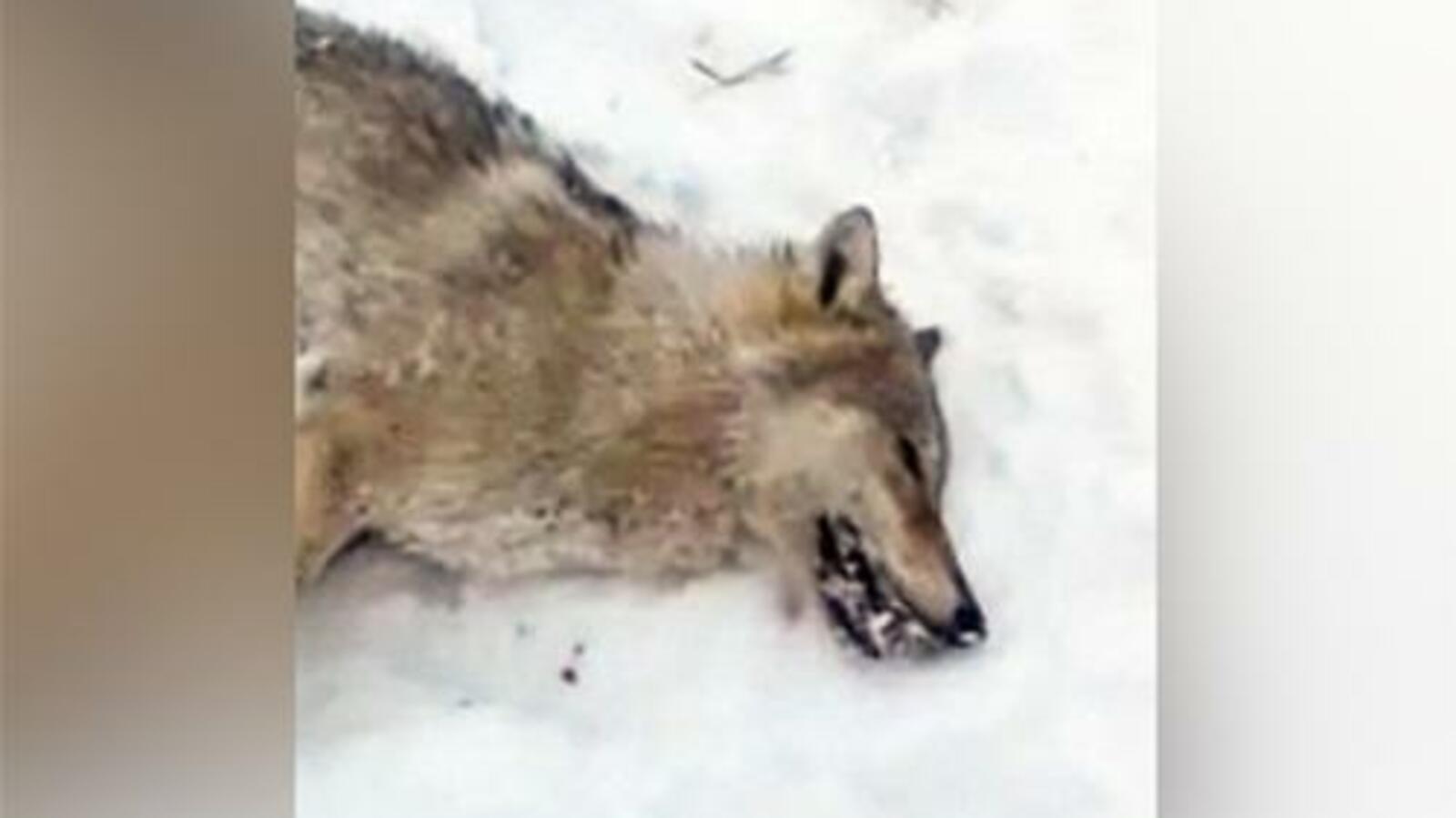 Газета "На земле Салавата"