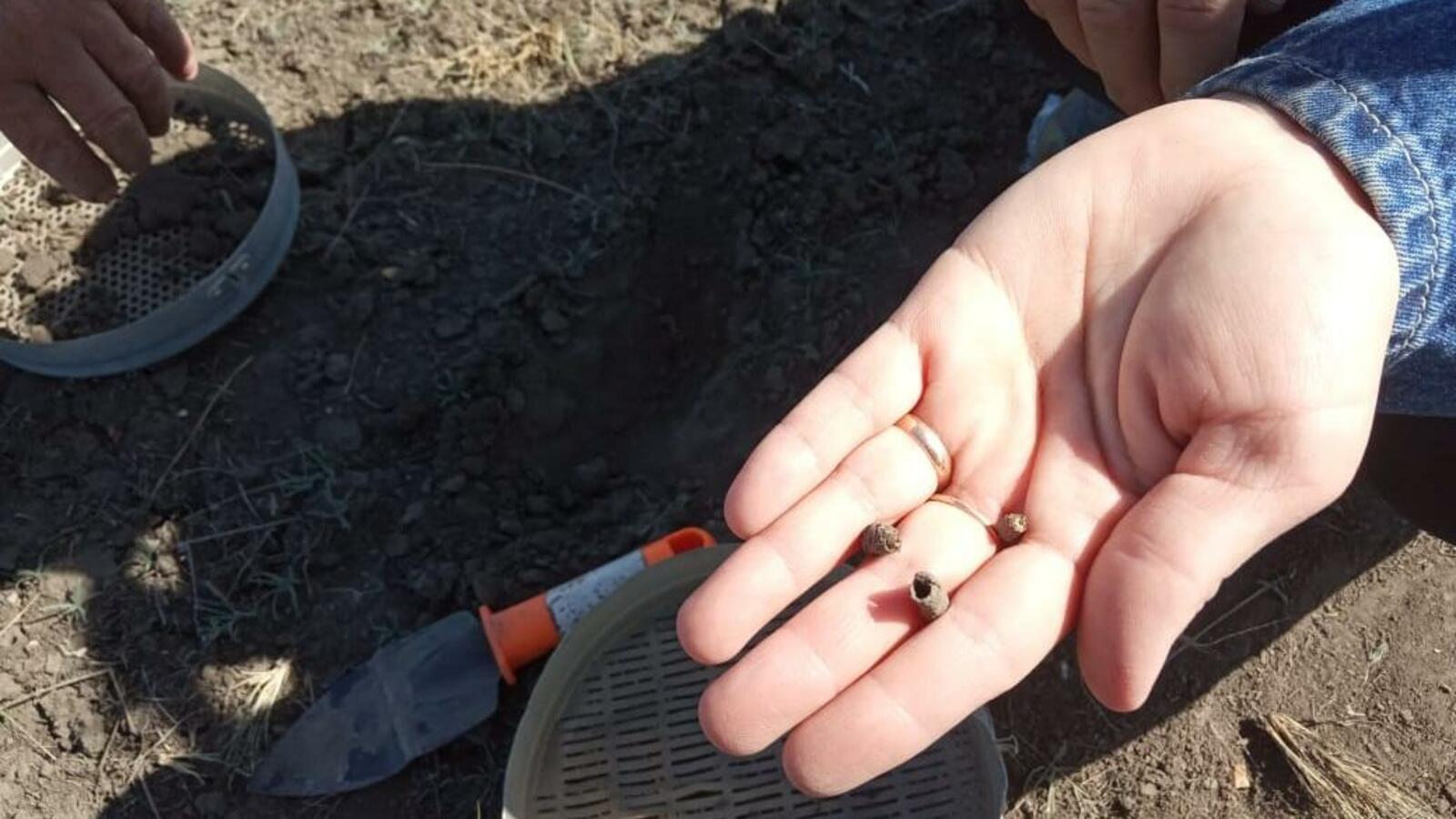 Россельхозцентр по РБ