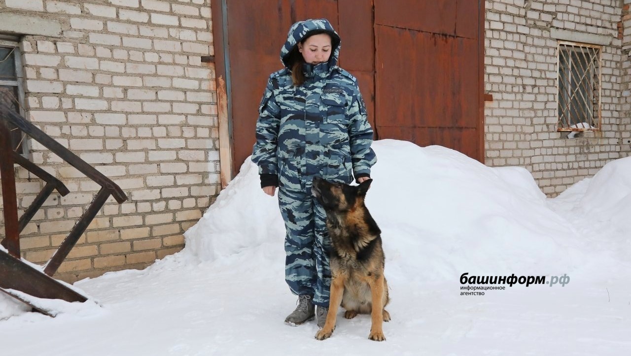 Валерий Шахов