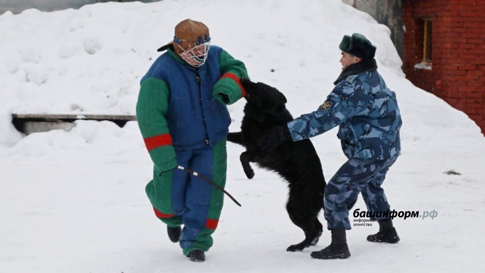 Валерий Шахов