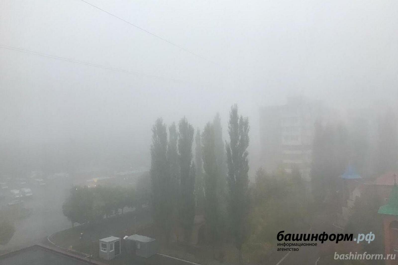 Ксения Калинина