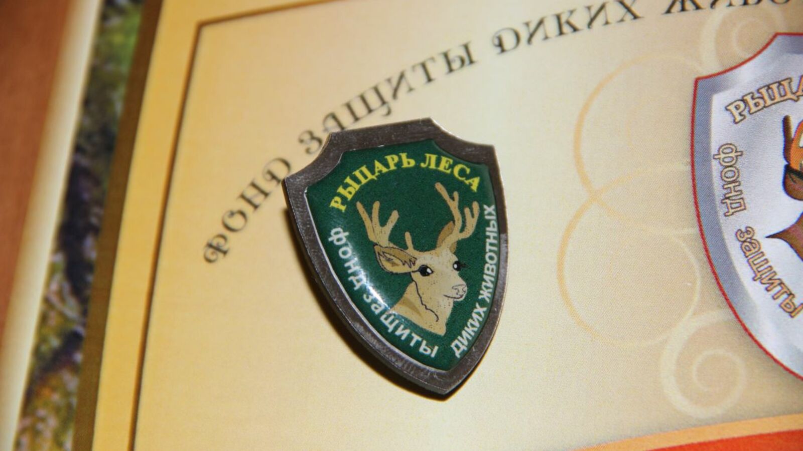 Гульфия Акулова