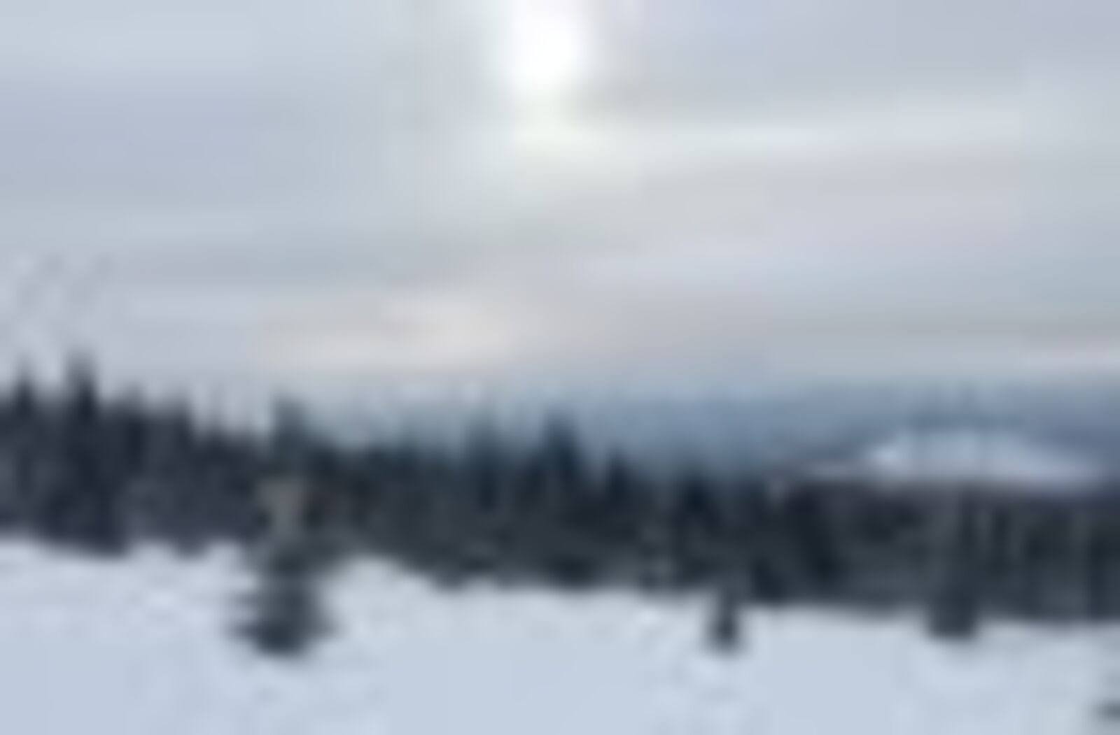 автор фотоһы