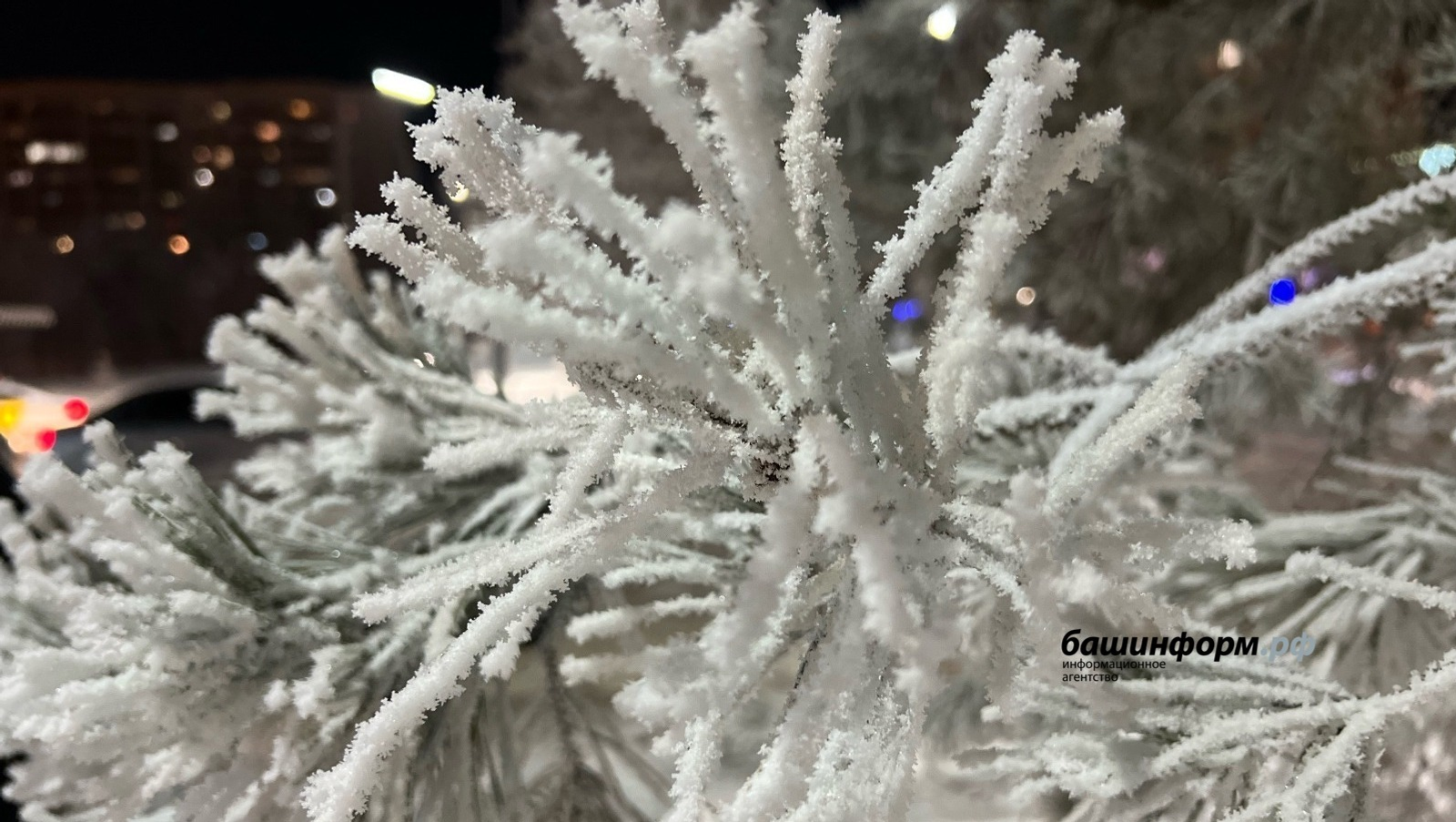 Ксения Калинина