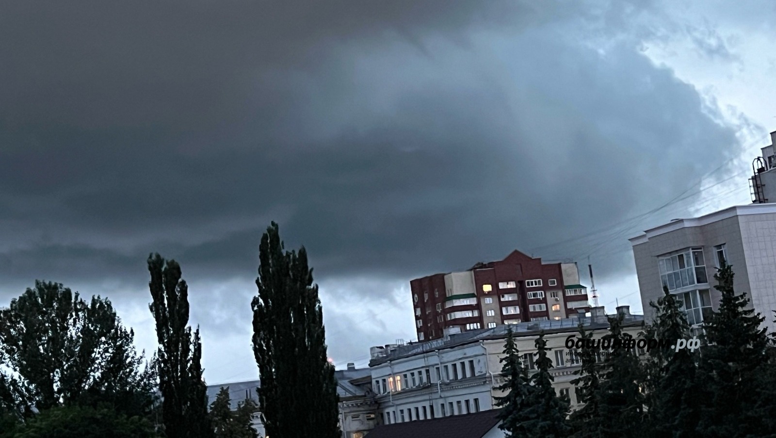 Ксения Калинина