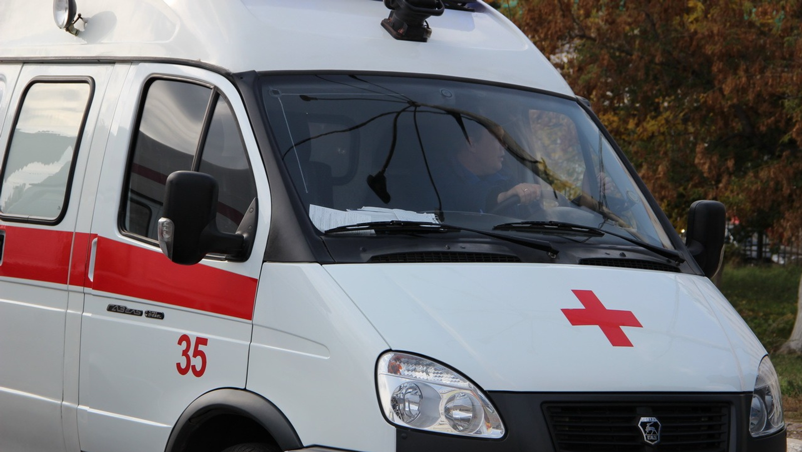 Ксения Калинина