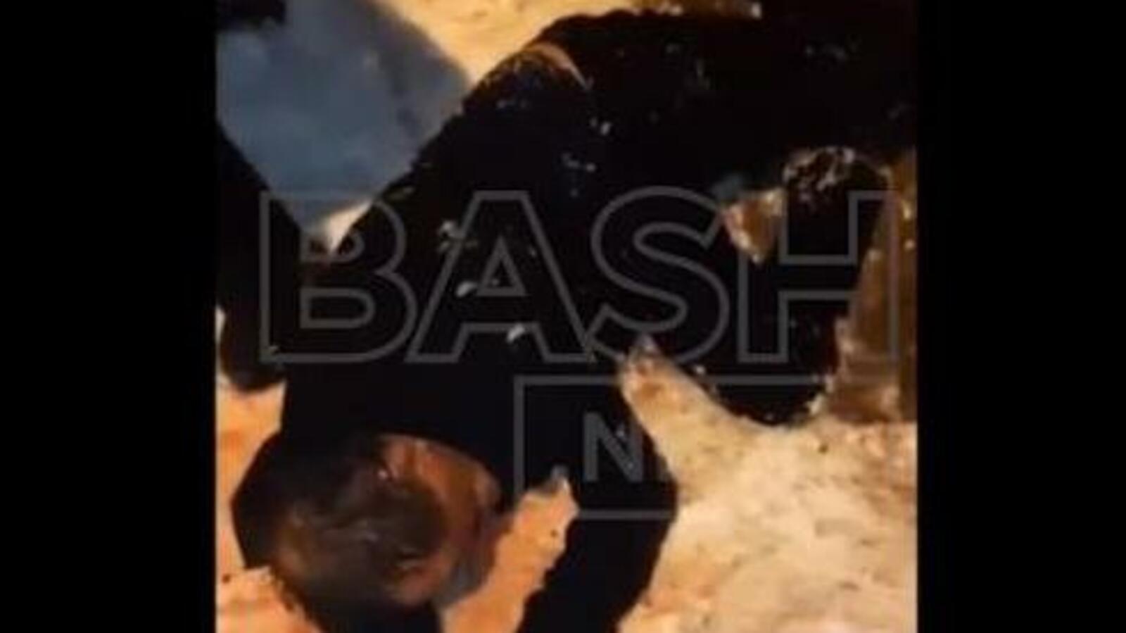 стоп-кадр видео bash.news