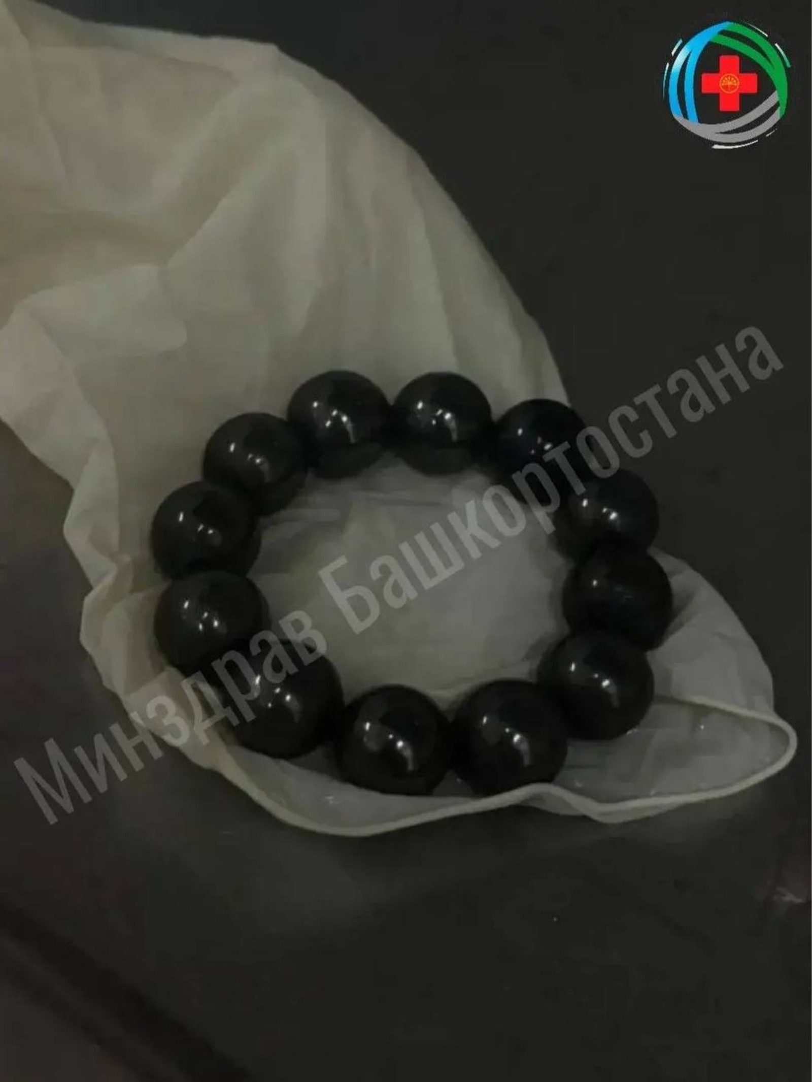 МЗ РБ телеграм