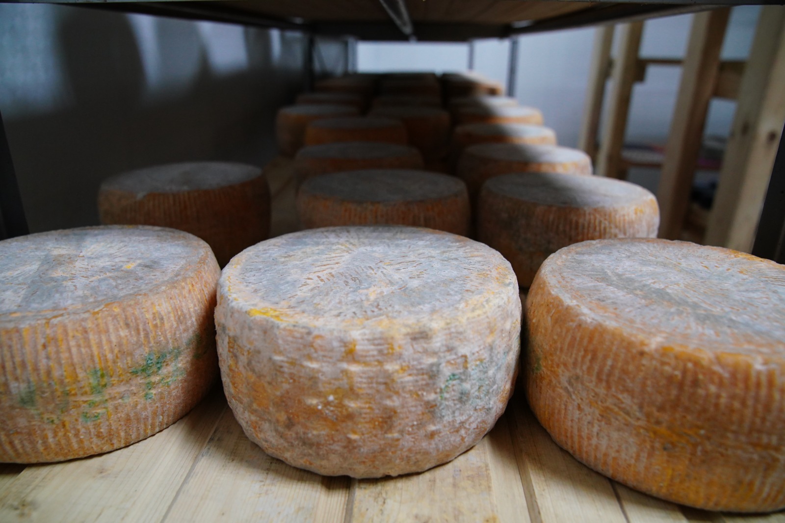 Олег Яровиков ИА "Башинформ"