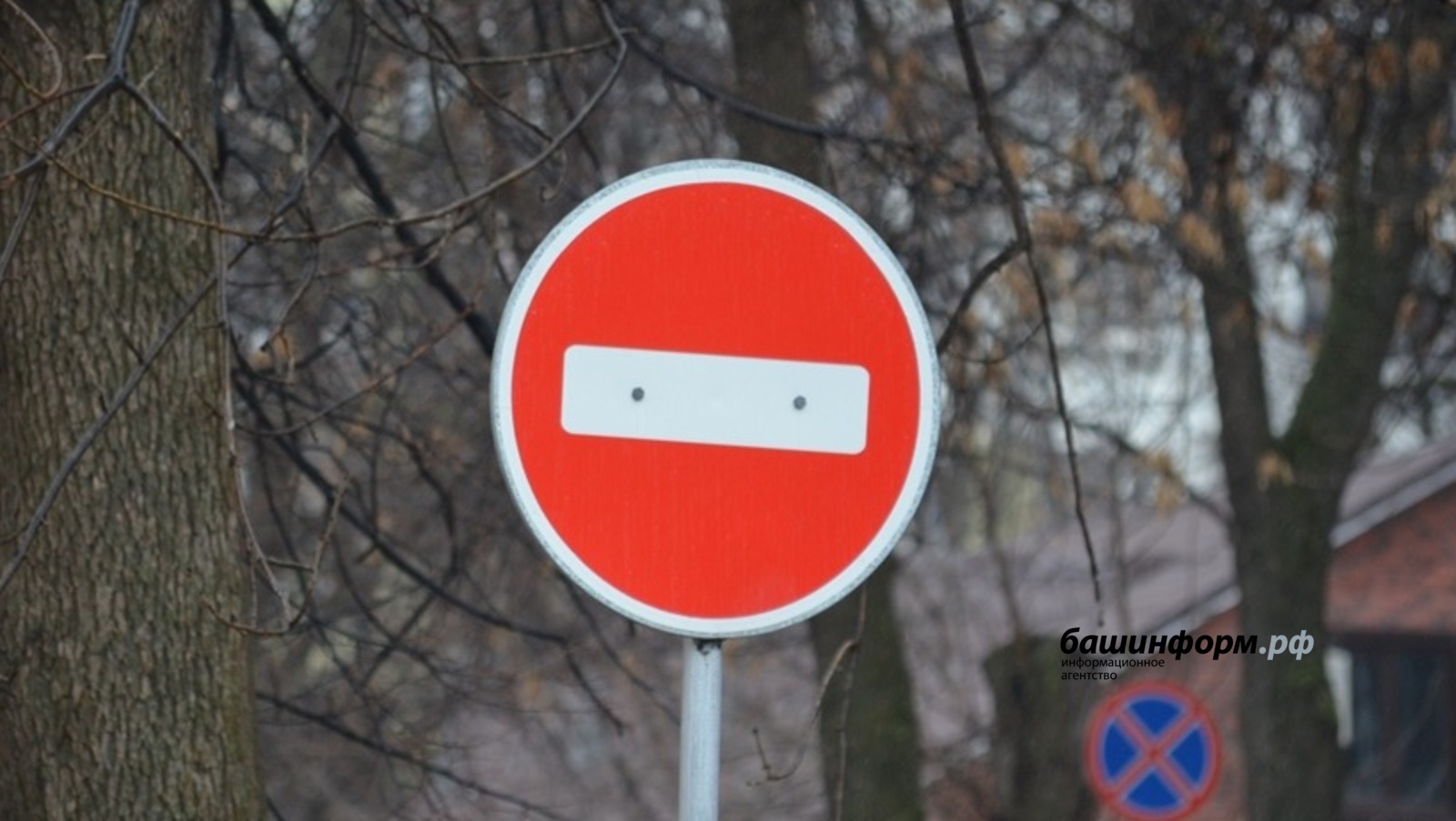 Ксения Калинина