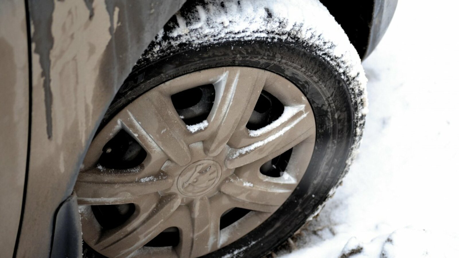 Ксения Калинина