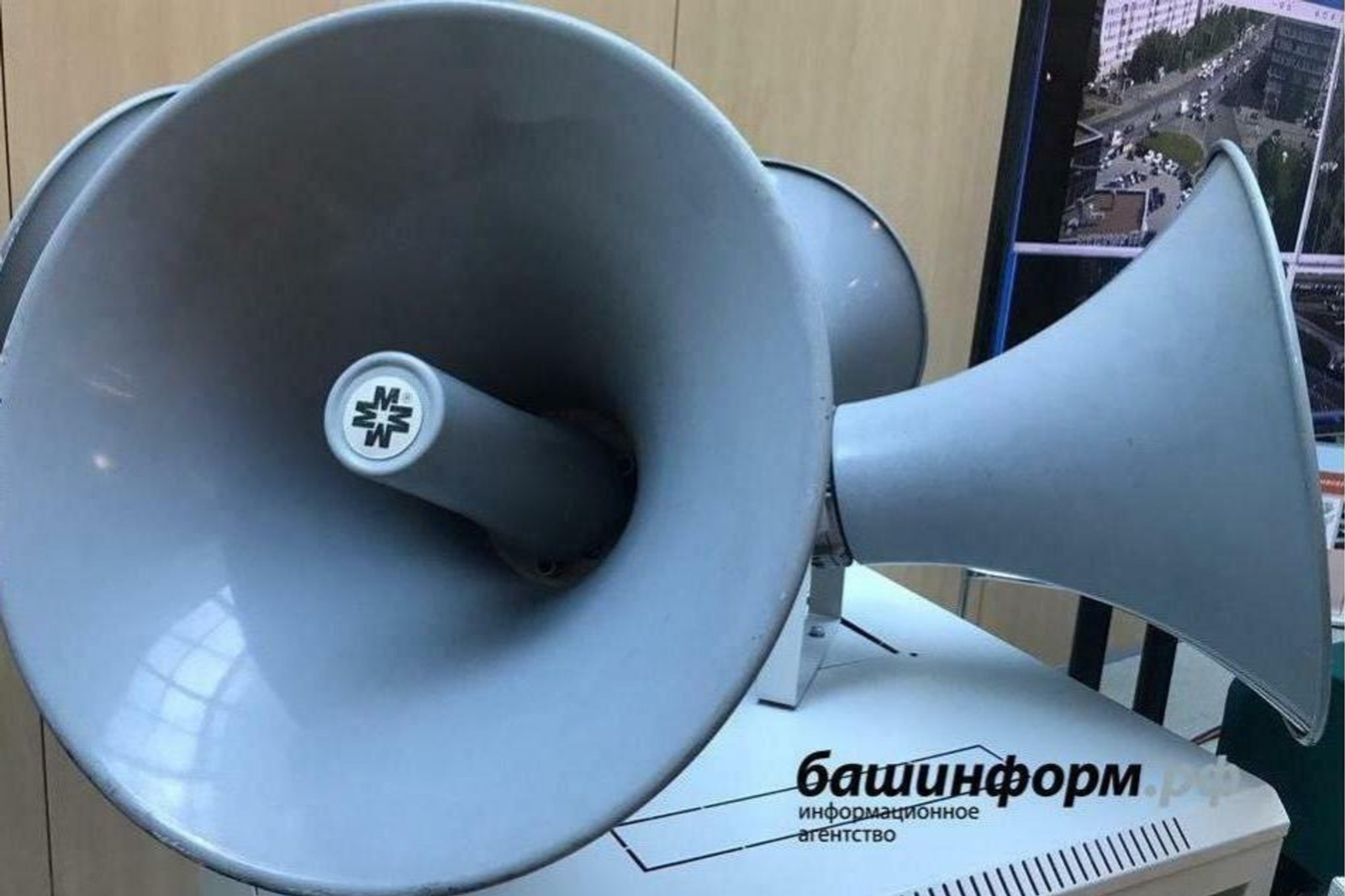 Ксения Калинина