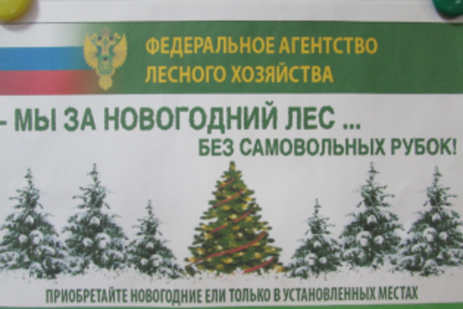 пресс-служба Минлесхоза РБ