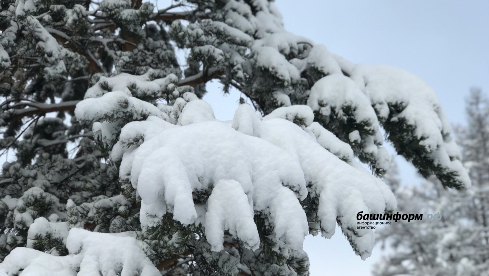 Ксения Калинина